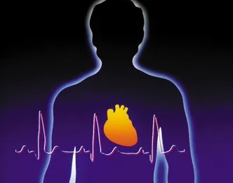 <a href='http://m.dsjianglang.com/smz/' target='_blank' title='ʧ�߰Y'><span style='color: #0000ff'><strong>ʧ�߰Y</strong></span></a>