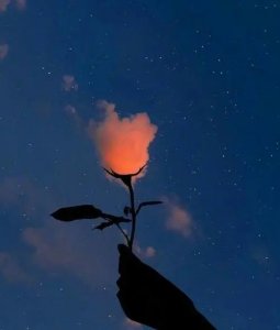 �L��<a href='http://m.dsjianglang.com/smz/' target='_blank' title='ʧ�߰Y'><span style='color: #0000ff'><strong>ʧ�߰Y</strong></span></a>�ί��t(y��)Ժ