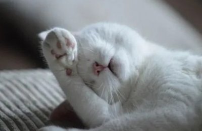 �L��<a href='http://m.dsjianglang.com/smz/' target='_blank' title='ʧ�߰Y'><span style='color: #0000ff'><strong>ʧ�߰Y</strong></span></a>�ί��t(y��)Ժ