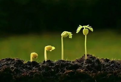 �L(zh��ng)��<a href='http://m.dsjianglang.com/smz/' target='_blank' title='ʧ�߰Y'><span style='color: #0000ff'><strong>ʧ�߰Y</strong></span></a>�ί��t(y��)Ժ